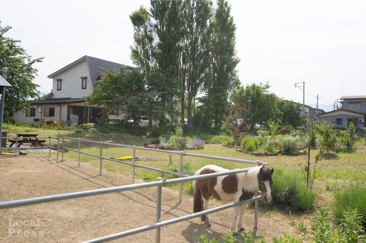 上越市の土の香工房cotocoto敷地内