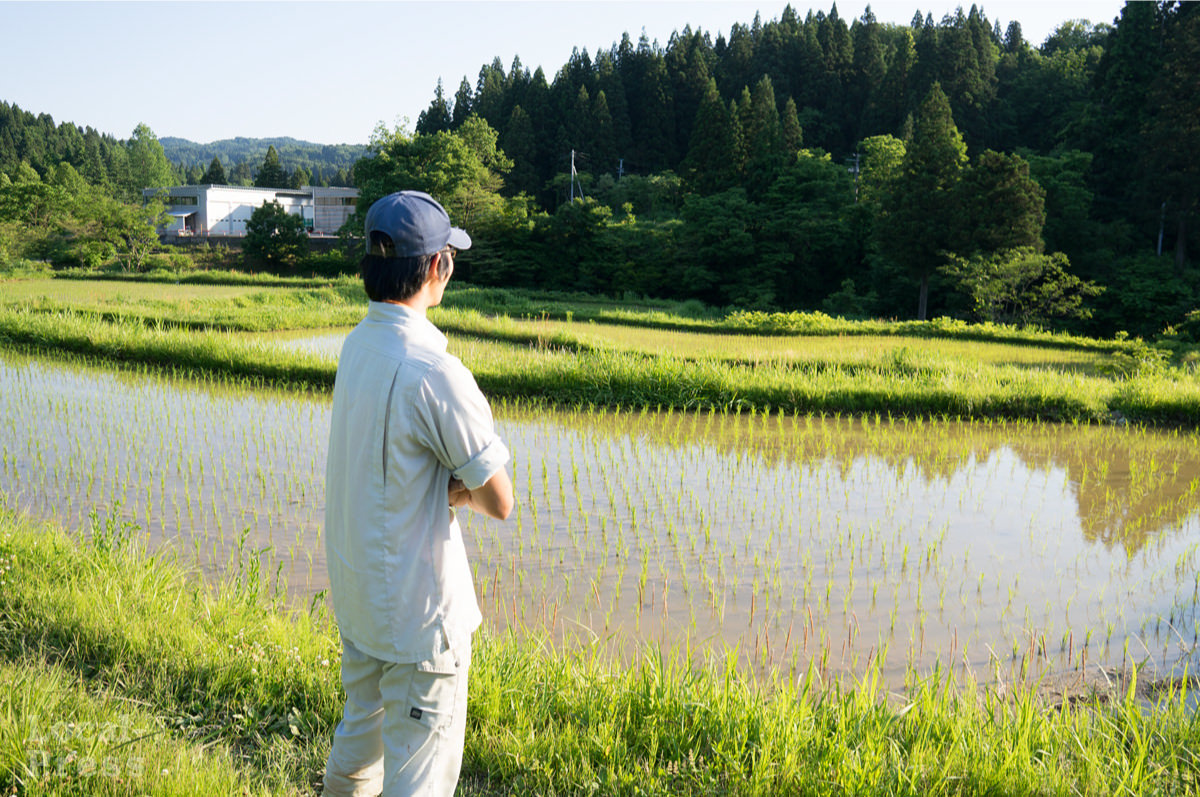 上越市の農業をする和田賢治が棚田を見つめる