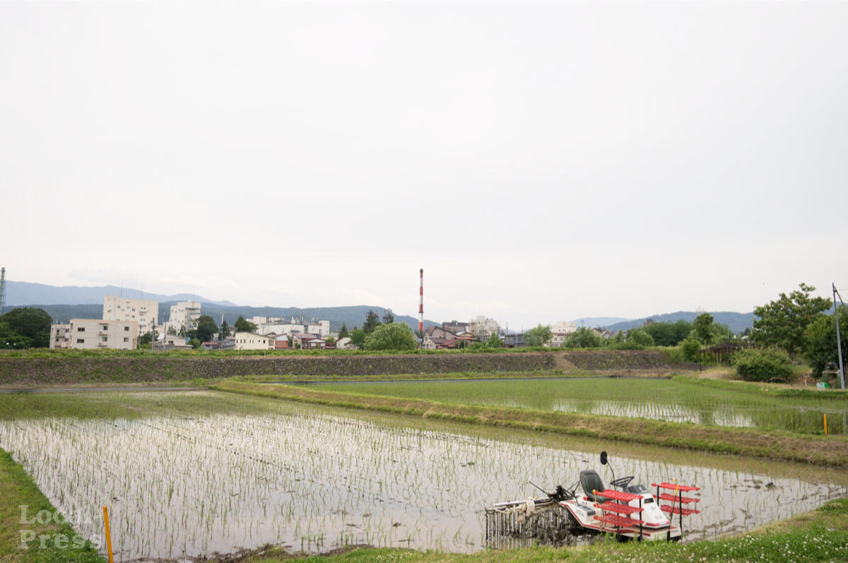 妙高市の農家「チームささ」